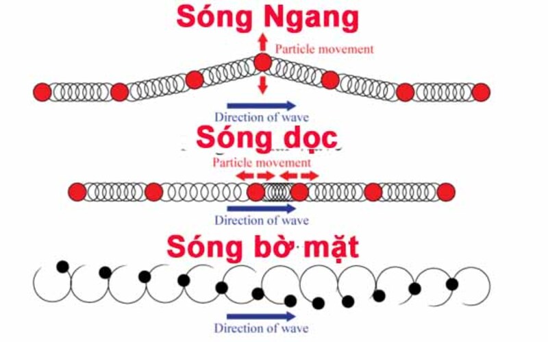 Âm thanh là loại sóng nào?