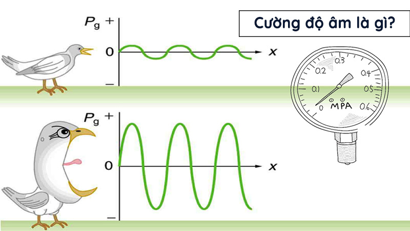 Mức cường độ âm, đơn vị đo, công thức tính cường độ âm là gì?